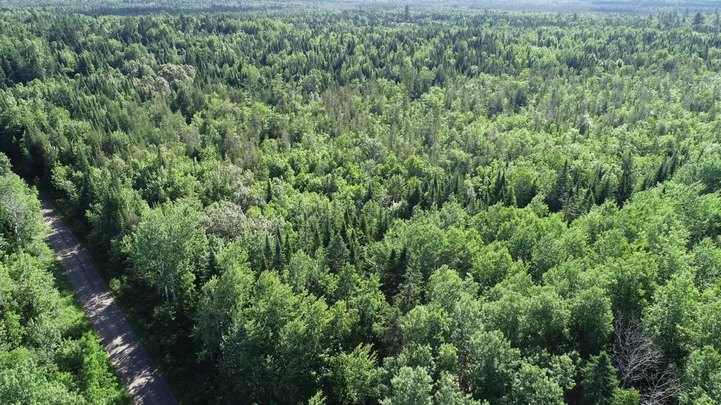 Lot 39 Smith (HANEY) Road Cary Plt ME 04471