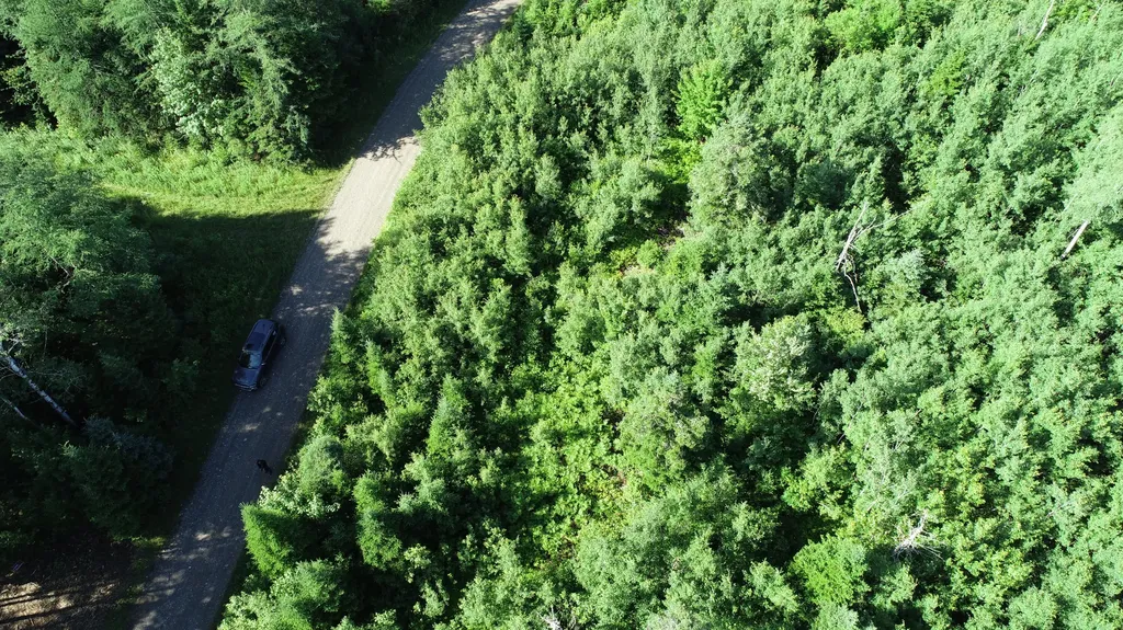 Lot 39 Smith (HANEY) Road Cary Plt ME 04471