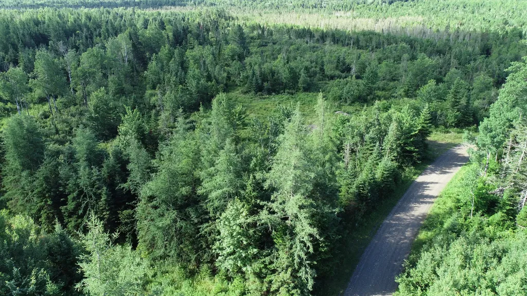 Lot 39 Smith (HANEY) Road Cary Plt ME 04471
