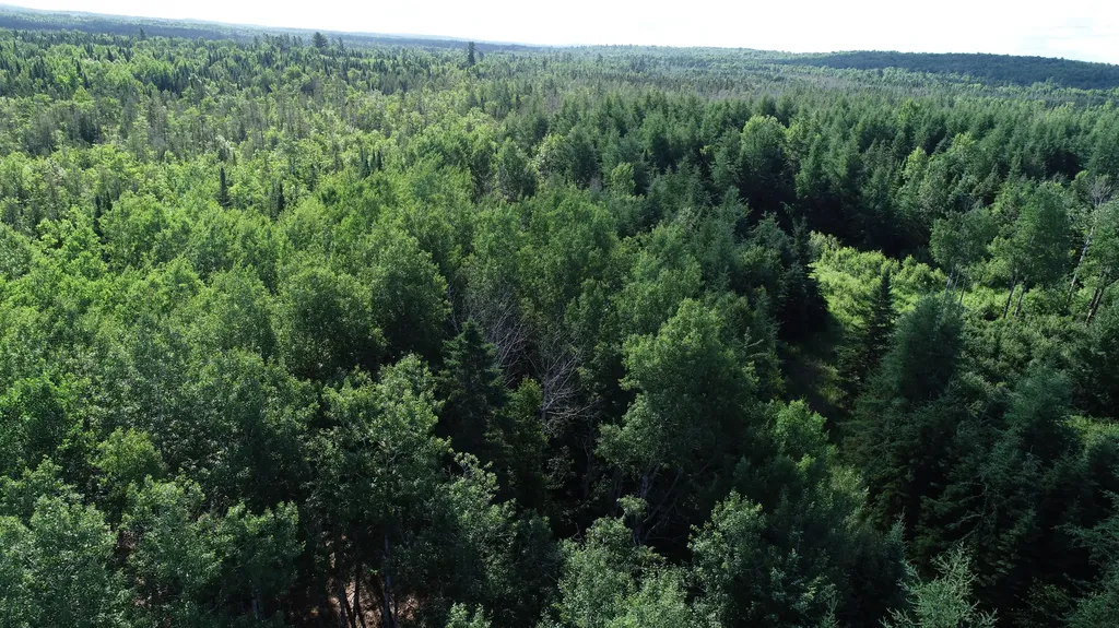 Lot 39 Smith (HANEY) Road Cary Plt ME 04471