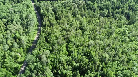 Lot 39 Smith (HANEY) Road Cary Plt ME 04471