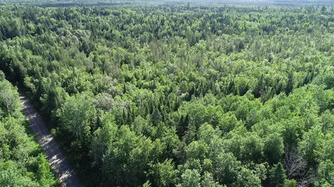 Lot 39 Smith (HANEY) Road Cary Plt ME 04471