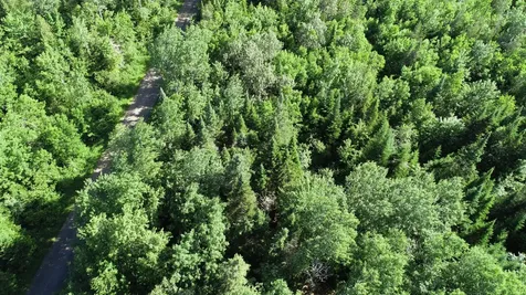 Lot 39 Smith (HANEY) Road Cary Plt ME 04471