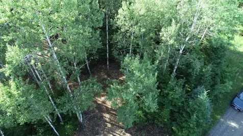 Lot 39 Smith (HANEY) Road Cary Plt ME 04471