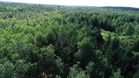 Lot 39 Smith (HANEY) Road Cary Plt ME 04471