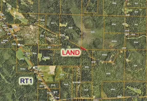 Lot 39 Smith (HANEY) Road Cary Plt ME 04471