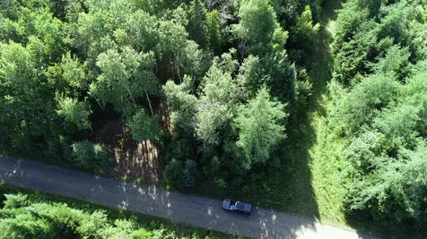 Lot 39 Smith (HANEY) Road Cary Plt ME 04471
