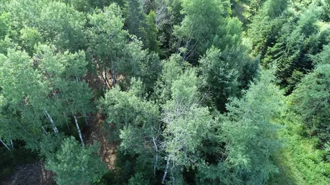 Lot 39 Smith (HANEY) Road Cary Plt ME 04471