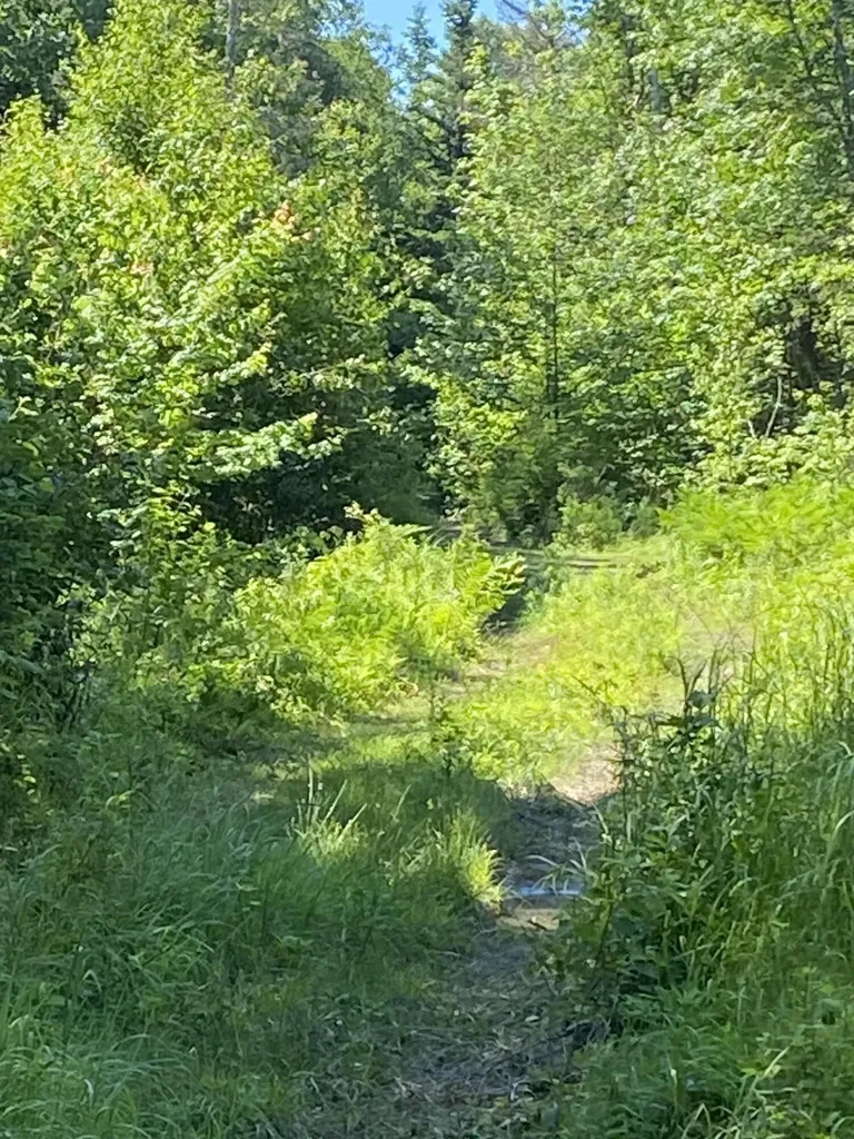 15 N Middle Ground View Jonesport ME 04649
