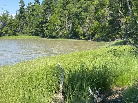 15 N Middle Ground View Jonesport ME 04649