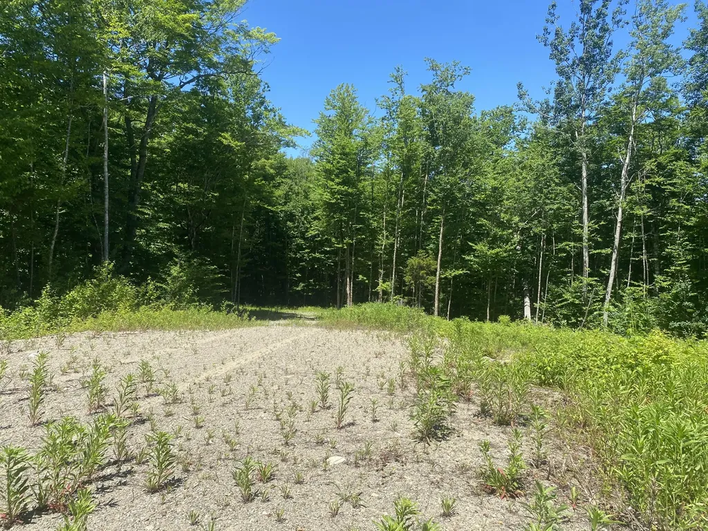 Lot Wa-9 Smith Cove Road Cathance Twp ME 04628