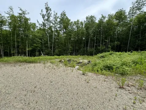 Lot Wa-9 Smith Cove Road Cathance Twp ME 04628