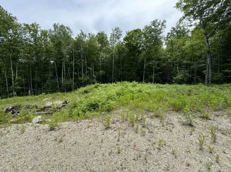 Lot Wa-9 Smith Cove Road Cathance Twp ME 04628