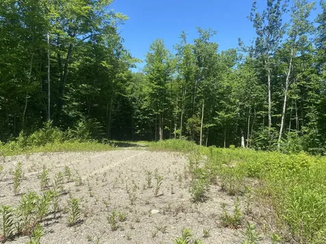Lot Wa-9 Smith Cove Road Cathance Twp ME 04628
