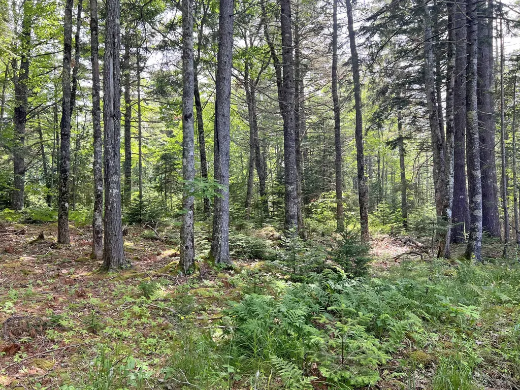 41 Grand View Road Ellsworth ME 04605