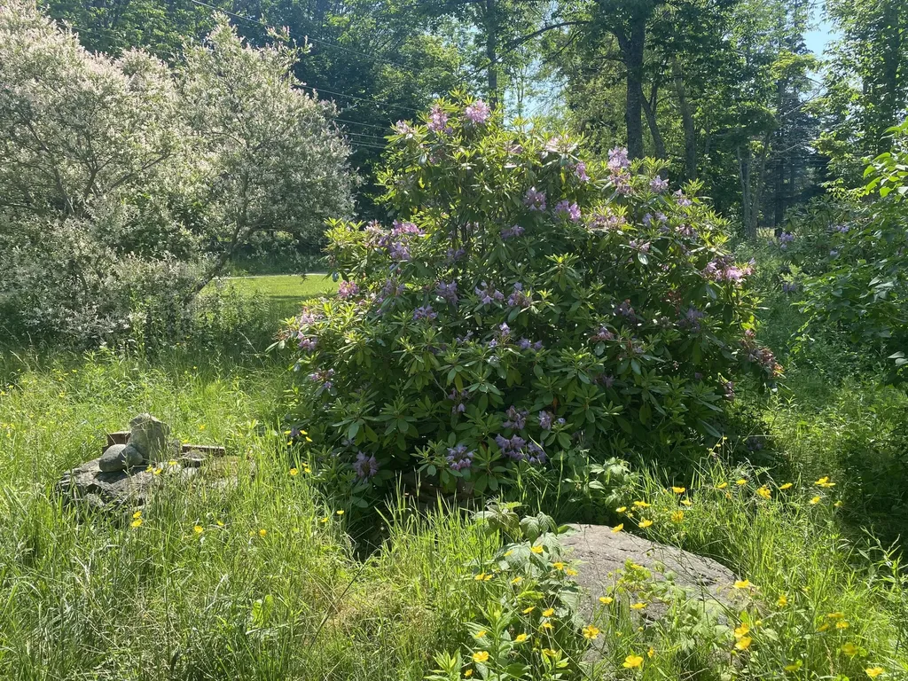 20 Gravel Pit Drive Deer Isle ME 04627