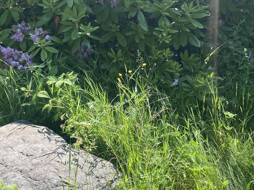20 Gravel Pit Drive Deer Isle ME 04627