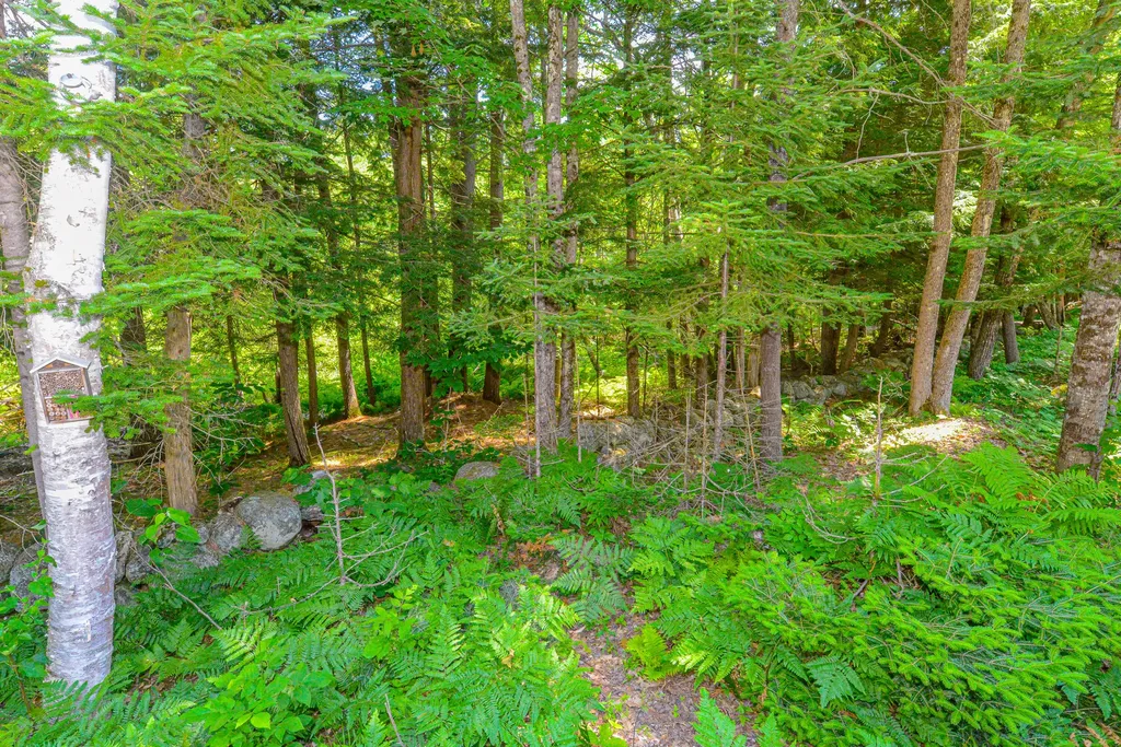 12 Reindeer Trail Bridgton ME 04009