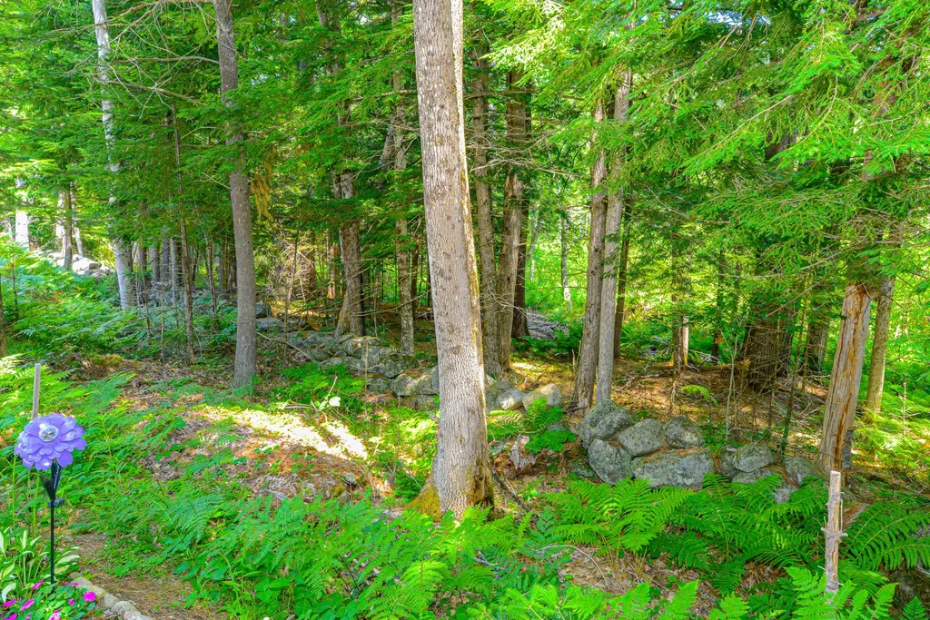 12 Reindeer Trail Bridgton ME 04009