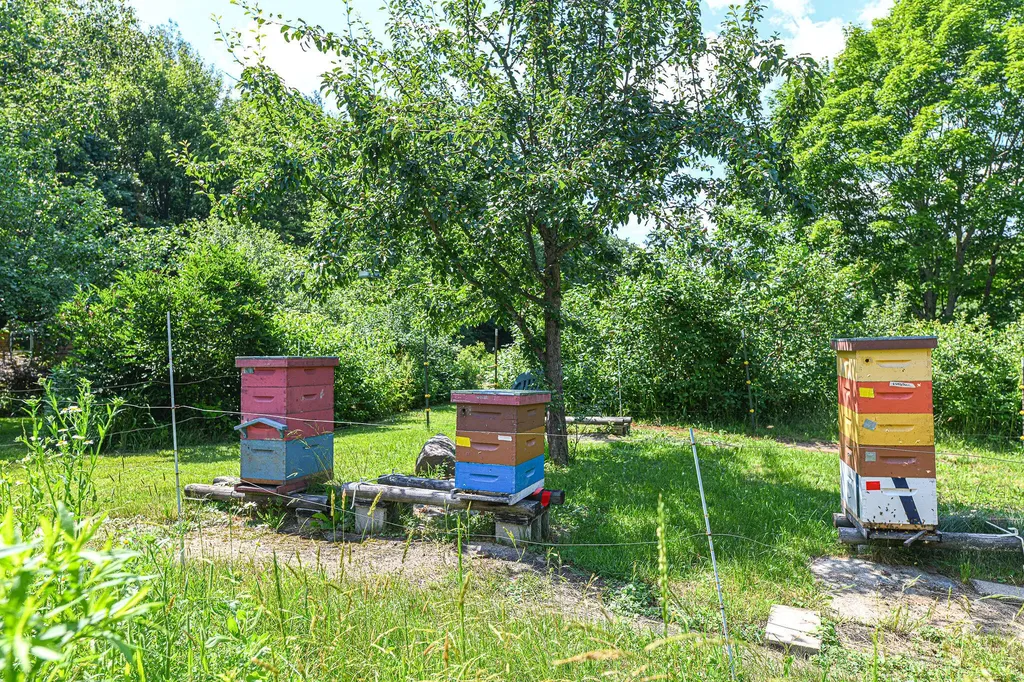 119 Lizotte Road Lebanon ME 04027