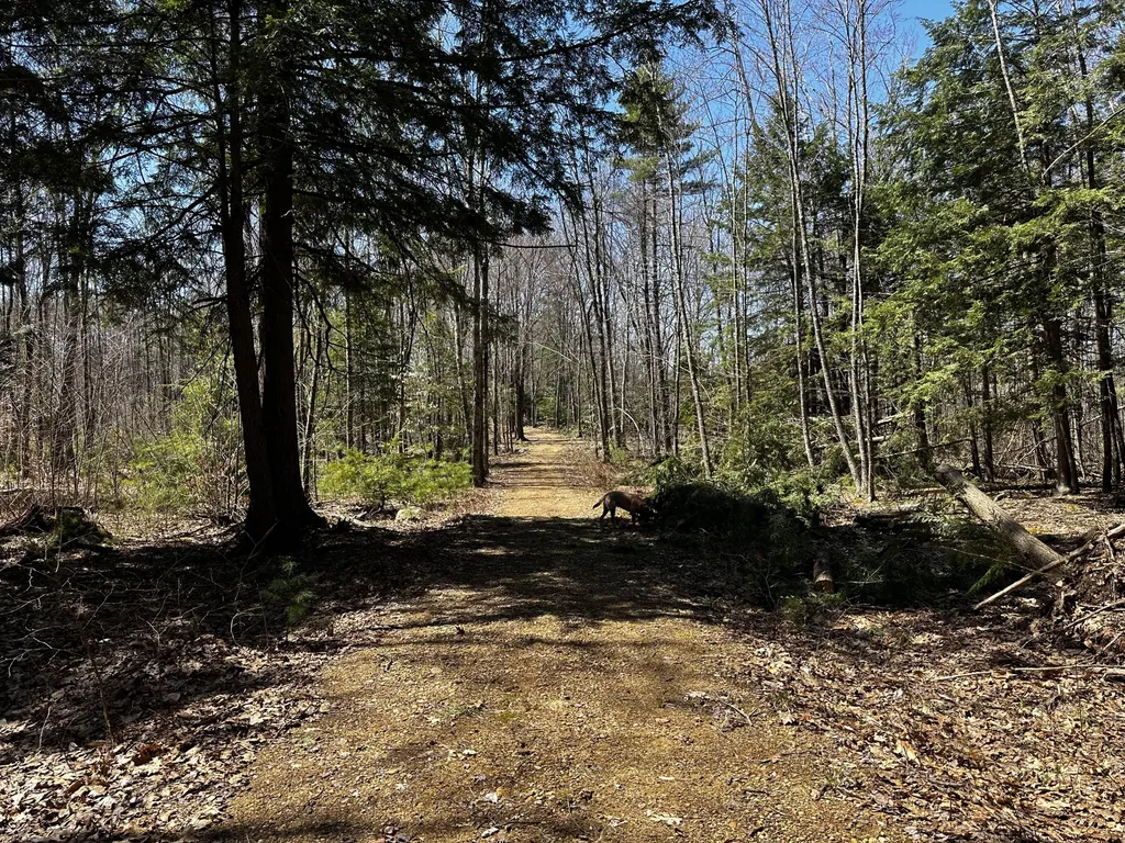 119 Lizotte Road Lebanon ME 04027