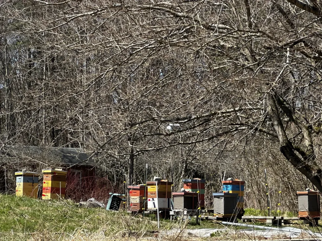 119 Lizotte Road Lebanon ME 04027