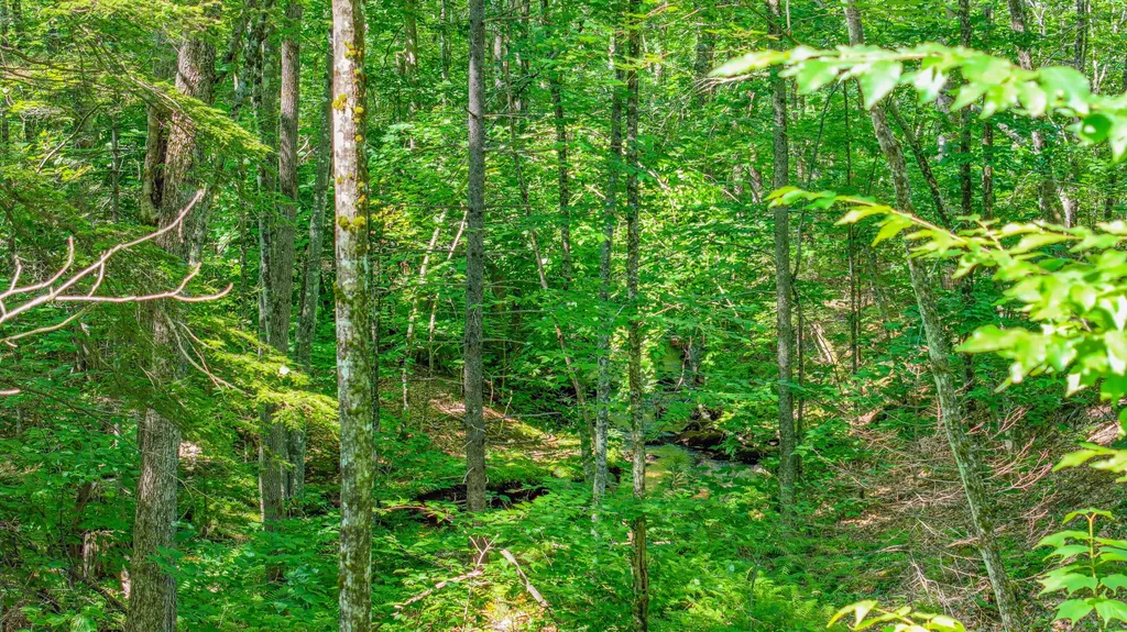 21 Bradley Pond Road Lovell ME 04051