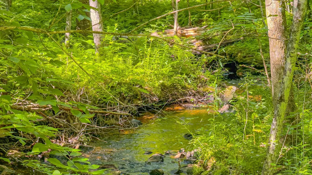 21 Bradley Pond Road Lovell ME 04051