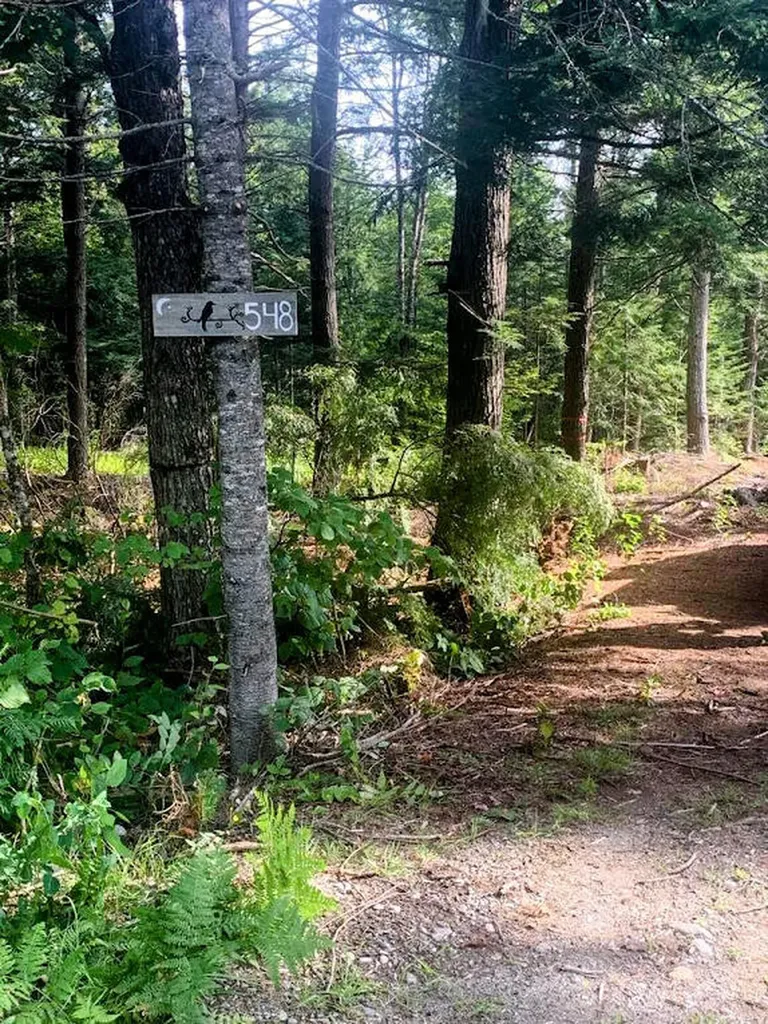 548 John Dean Road Orneville Twp ME 04463
