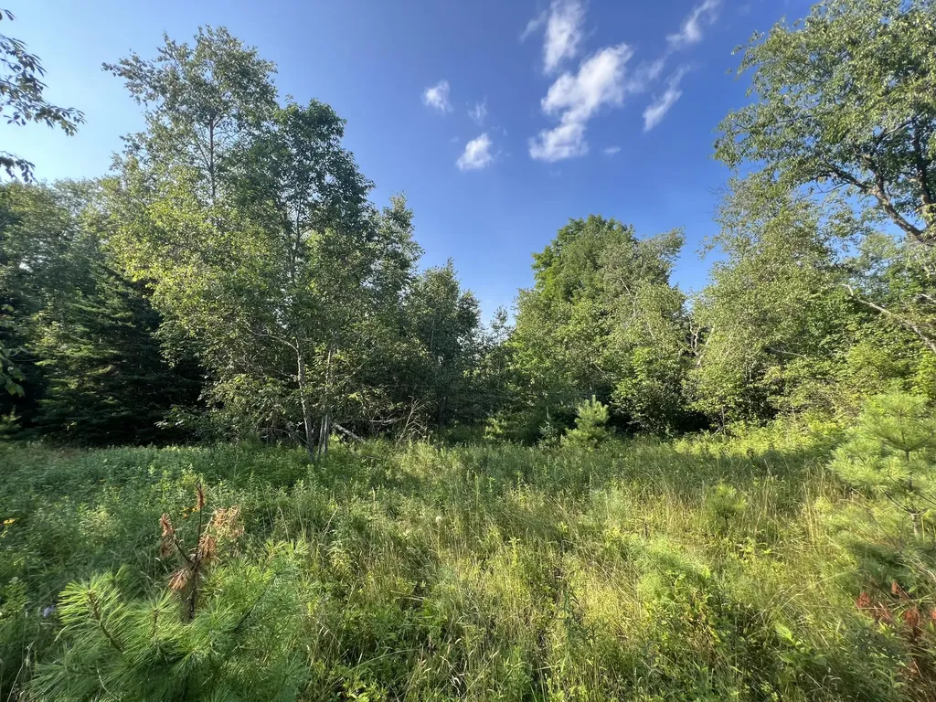 41 Heath Lane Hermon ME 04401