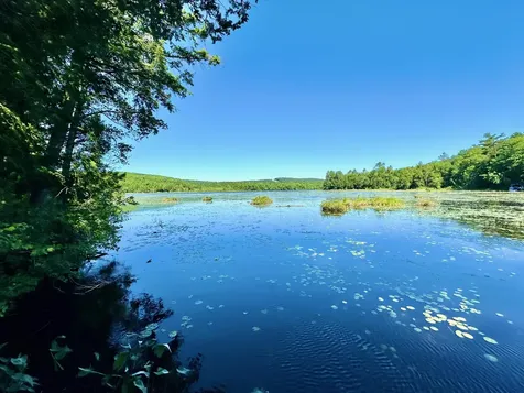 9 Water Lily Lane Fayette ME 04349