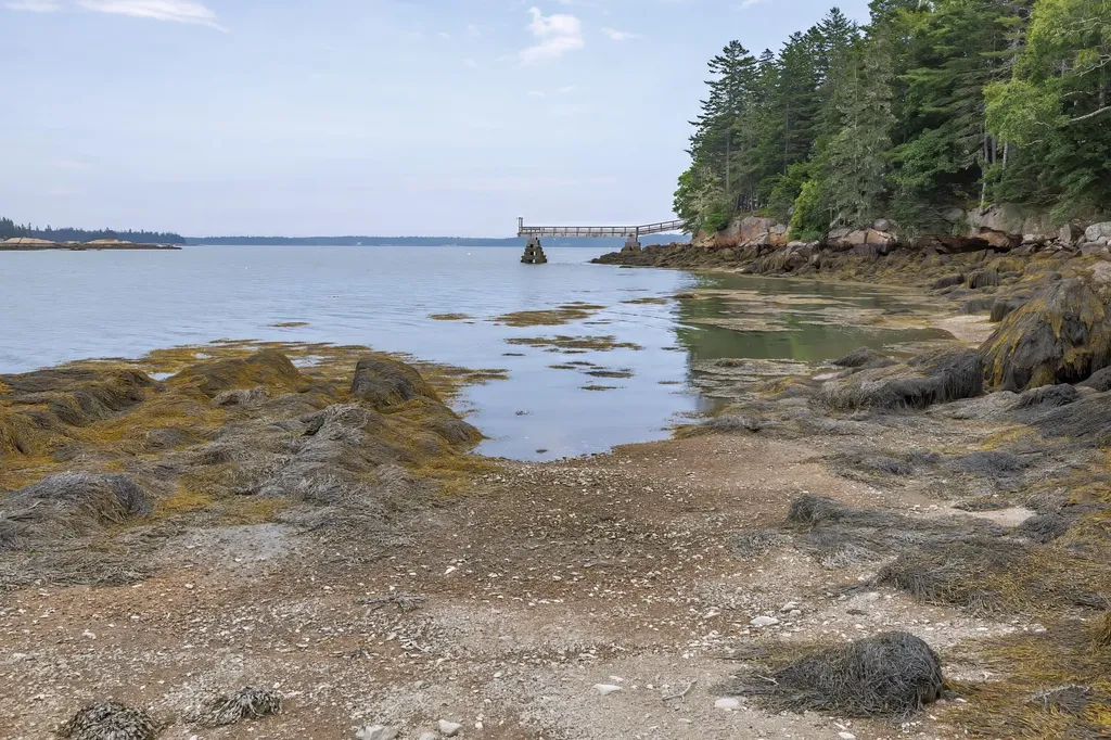 49 Oak Hill Lane Stonington ME 04681