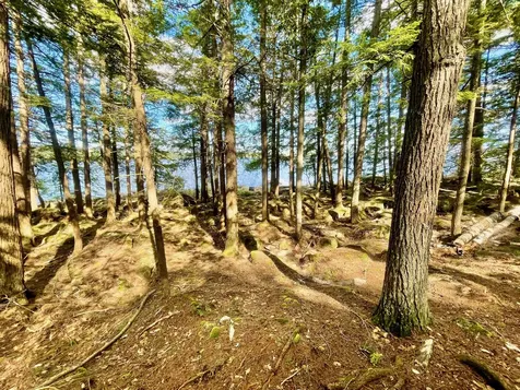 30 Hoyt Island Belgrade ME 04917