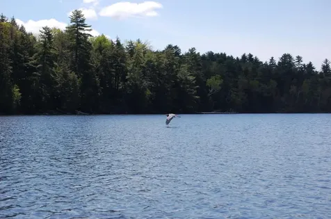 30 Hoyt Island Belgrade ME 04917