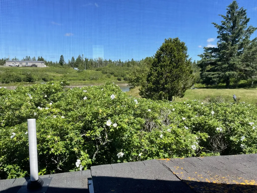 35 Sadler Point Road Jonesport ME 04649