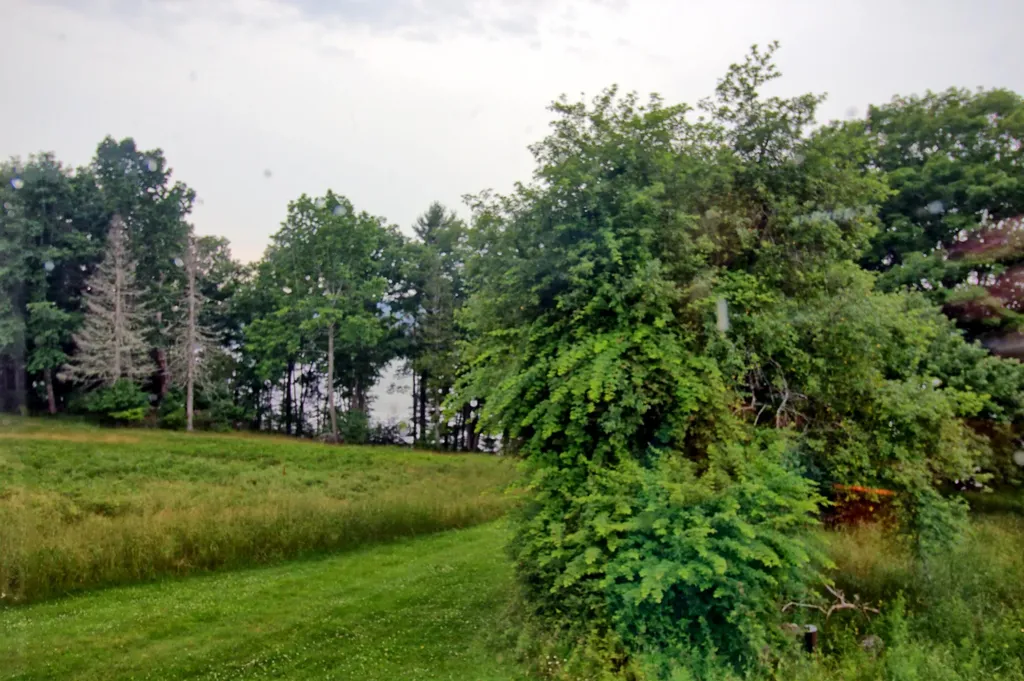 Orland ME 04472