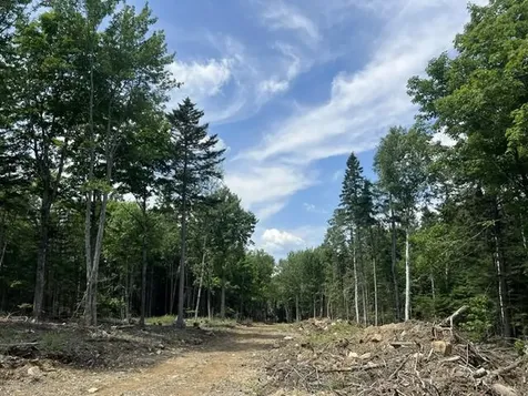 M12/41-123 Taylor Farm Road Rangeley ME 04970