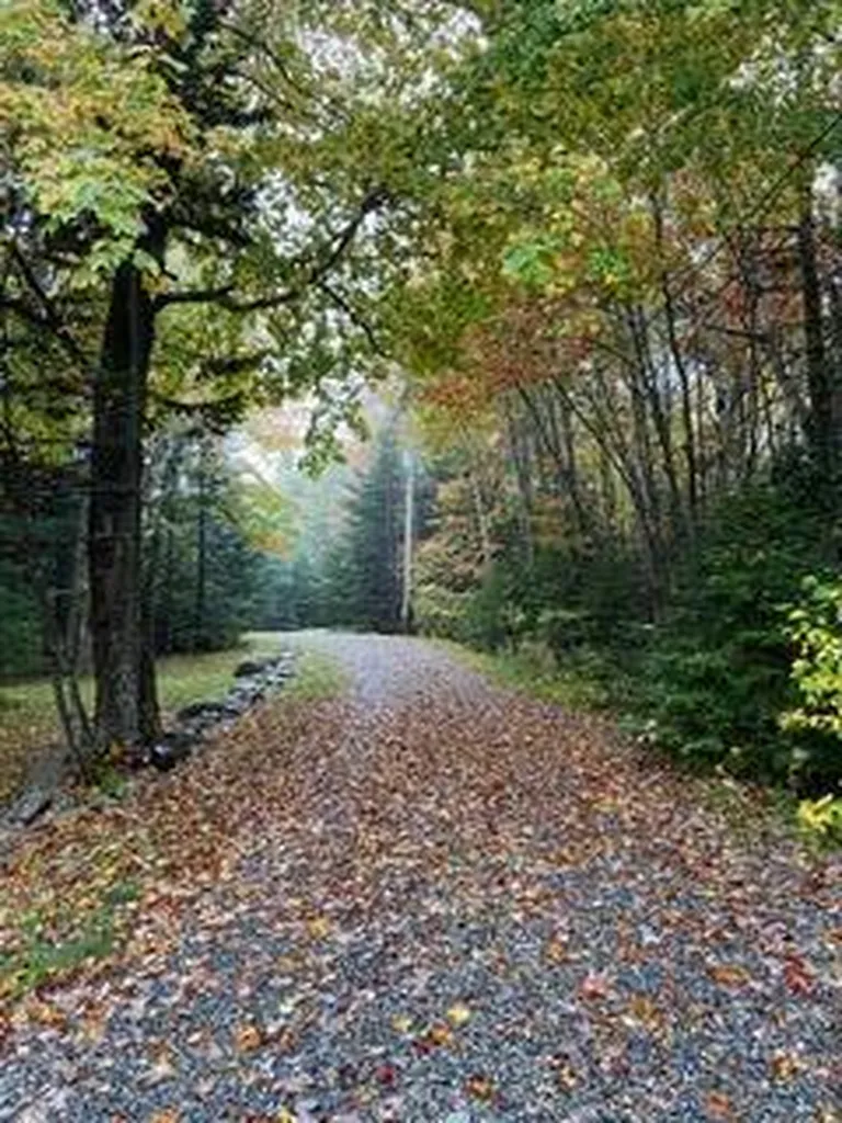 134 Redding Road Gouldsboro ME 04607
