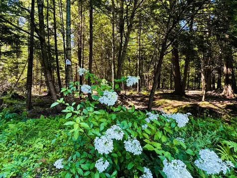 437 Hussey Hill Road Vassalboro ME 04989