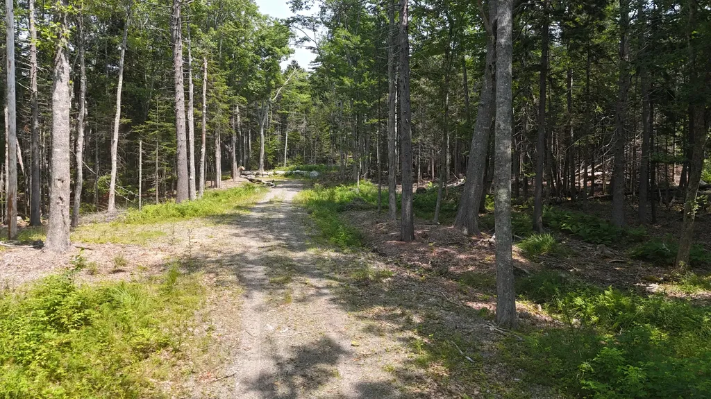 1920 Us Highway 1 Sullivan ME 04664