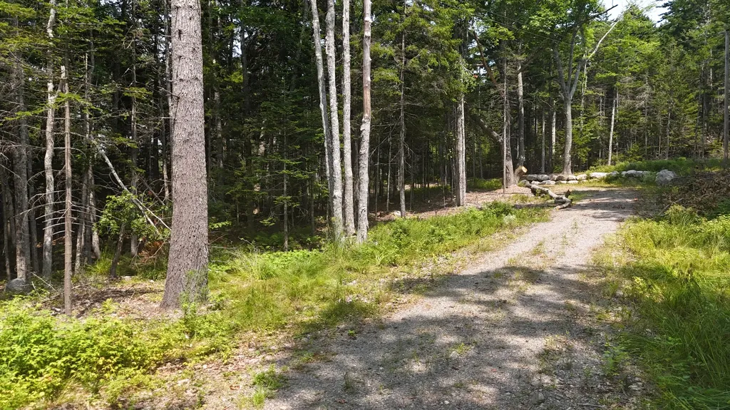 1920 Us Highway 1 Sullivan ME 04664