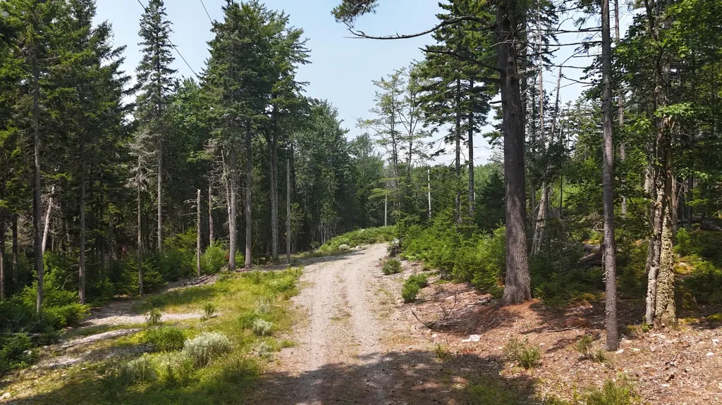 1920 Us Highway 1 Sullivan ME 04664