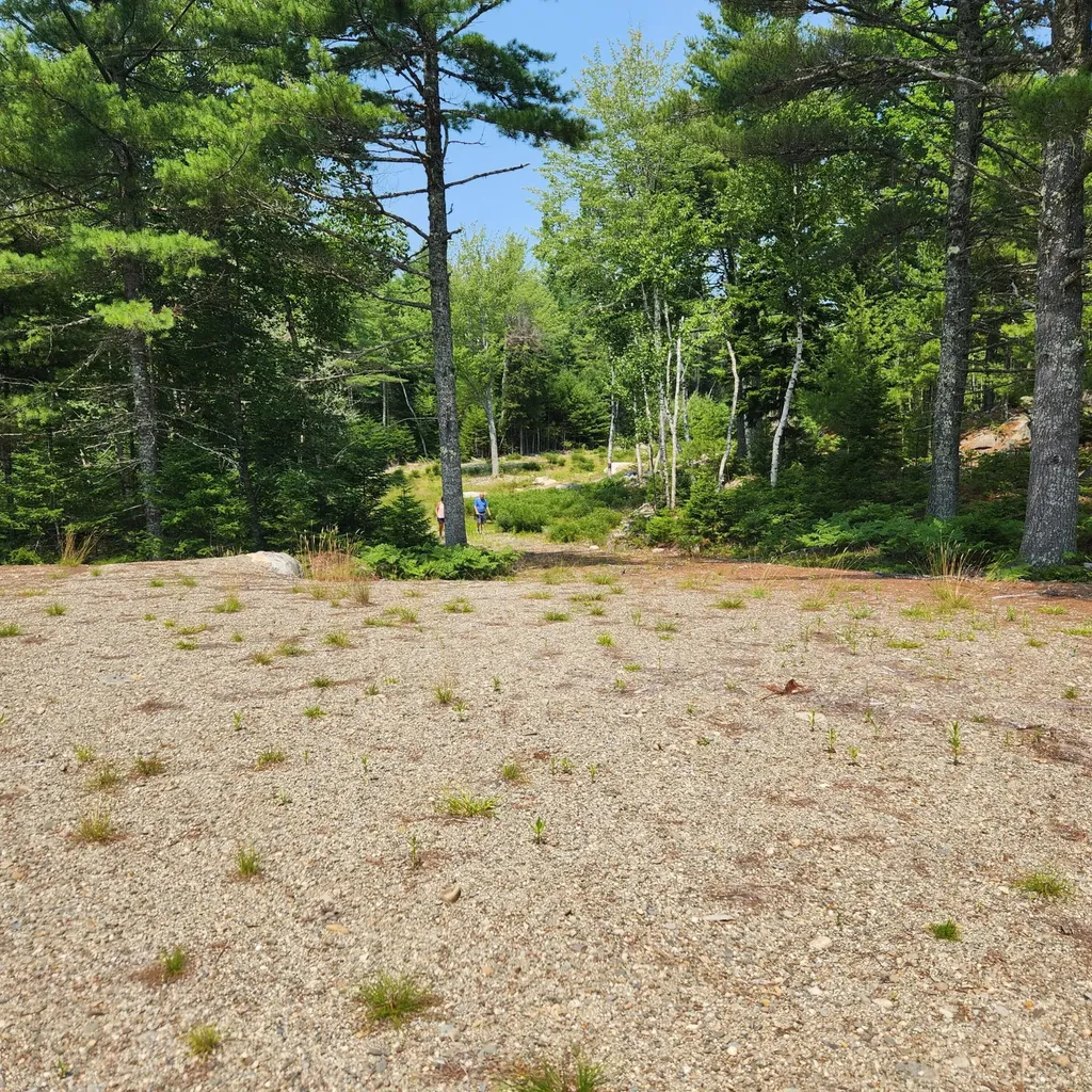 1920 Us Highway 1 Sullivan ME 04664
