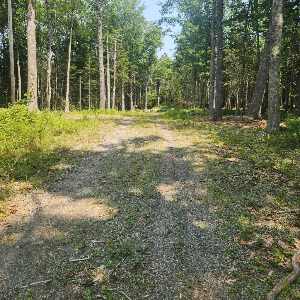 1920 Us Highway 1 Sullivan ME 04664