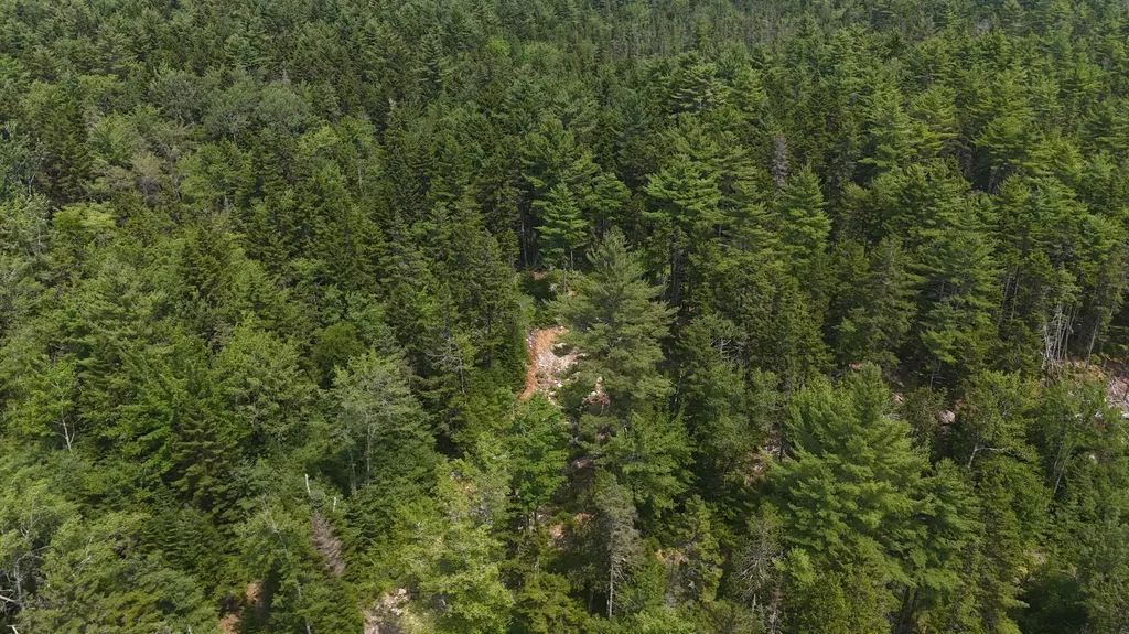1920 Us Highway 1 Sullivan ME 04664