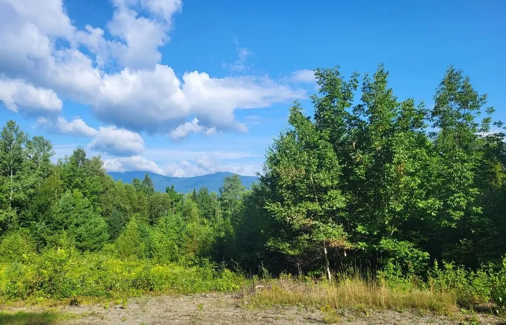 Lot 8.19 East Madrid Road Madrid Twp ME 04966