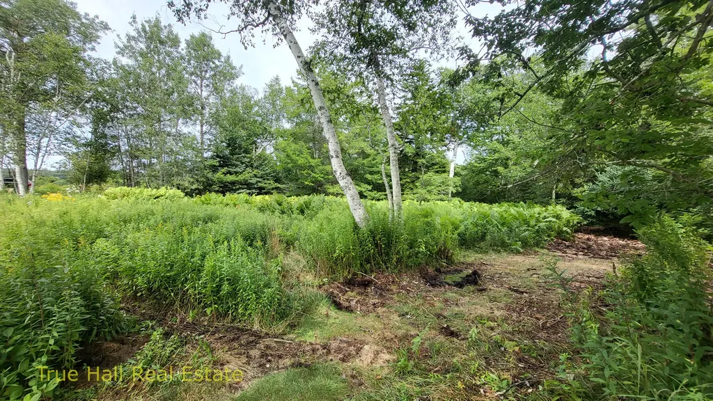 Lot #9 Beach Point Road Saint George ME 04860