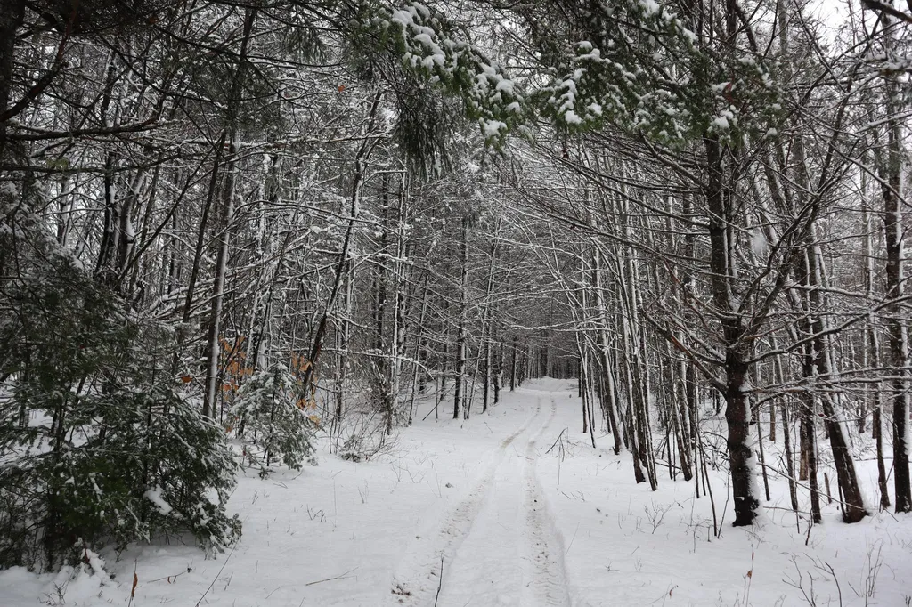 253 Medford Road Milo ME 04463