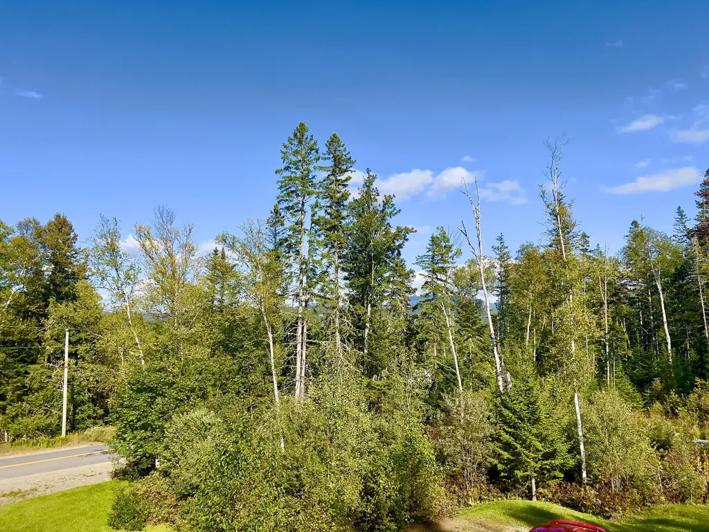 4 Bird's Eye Road Rangeley Plt ME 04970