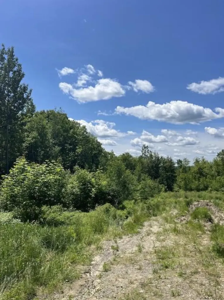 60 Vigue Road Hartland ME 04943